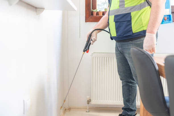 Best Ant Control Services  in St Charles, IL