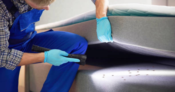 Best Affordable Pest Control Services  in St Charles, IL