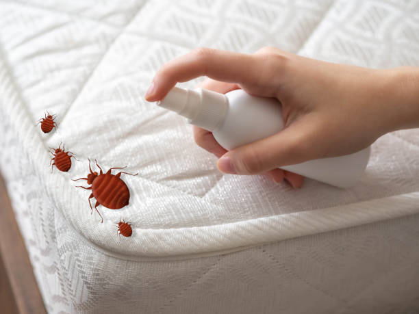 Best Residential Pest Control  in St Charles, IL