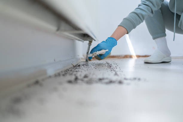 Best Commercial Pest Control Services  in St Charles, IL