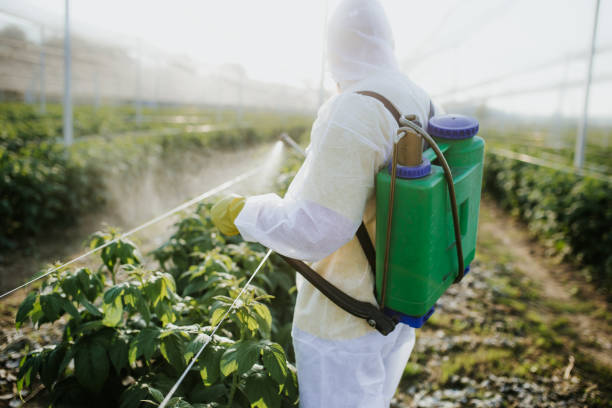 Best Affordable Pest Control Services  in St Charles, IL